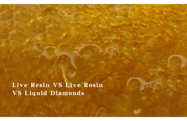 Live Resin VS Live Rosin VS Liquid Diamonds