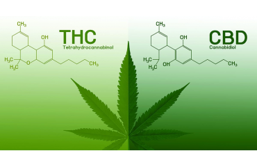 CBDVSTHC, The Differences
