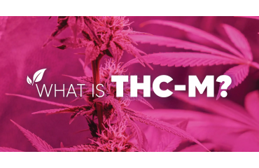 What is THC-M