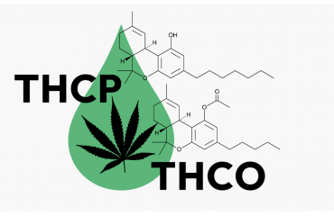 THCP VS THCO